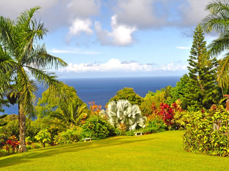 Hana Maui Botanical Gardens, United States
